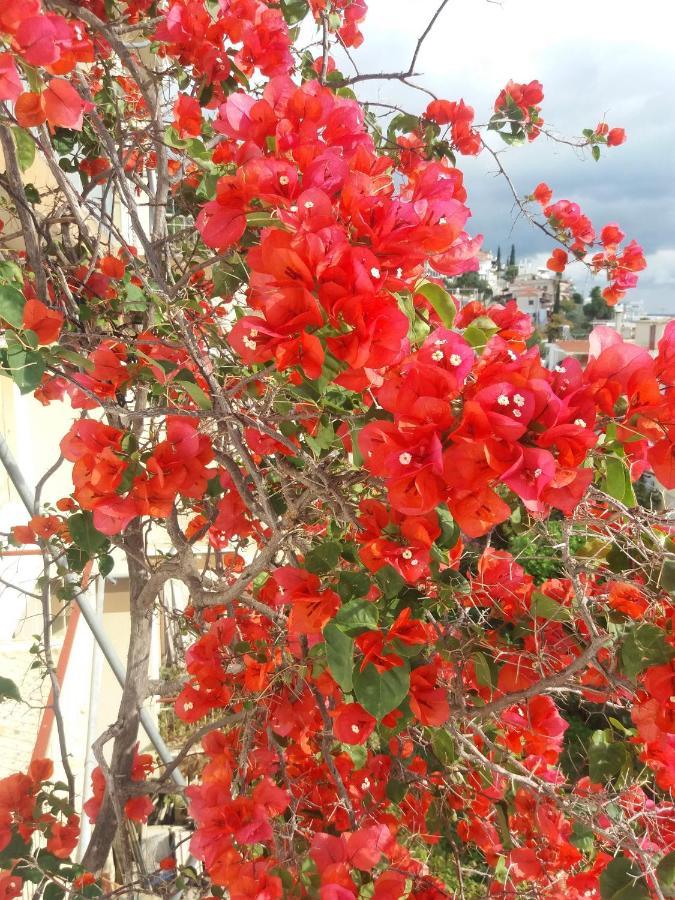 Apartment In Poros Poros Town المظهر الخارجي الصورة